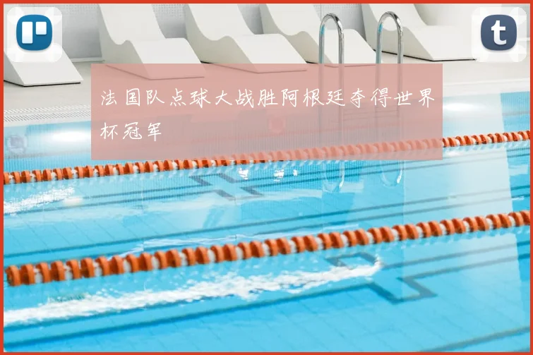 法国队点球大战胜阿根廷夺得世界杯冠军