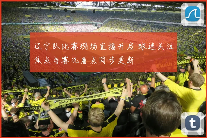 辽宁队比赛现场直播开启 球迷关注焦点与赛况看点同步更新