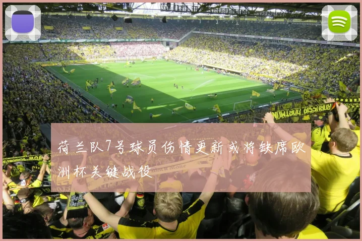 荷兰队7号球员伤情更新或将缺席欧洲杯关键战役